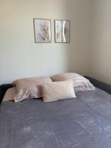 Studio cosy Le Vismara