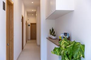 Apartamentos Liérganes Centro