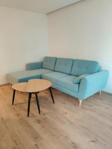 Apartamentai centre