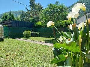 Maison Savignac les ormeaux