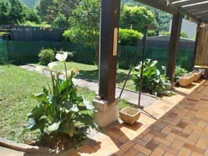 Maison Savignac les ormeaux