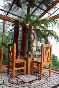 Thecozynest Jacuzzi treehouse