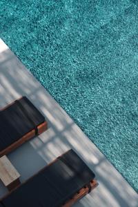 PAREA Blue Zone - Adults Only