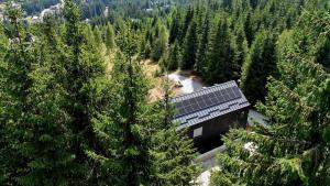 Cabana Merlin - Statiunea Muntele Baisorii