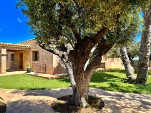 Agroturismo Sa Marina - Adults Only