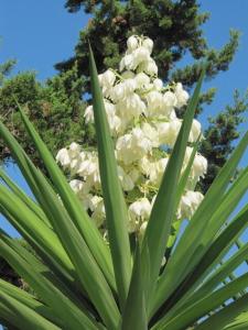 Magical Mamamia Villa on Paros Island, Greece