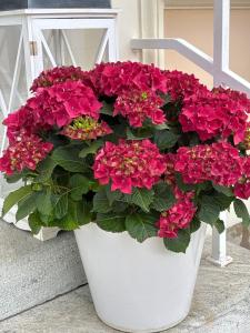 Seevilla Wienerroither