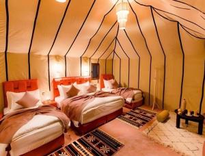 Magnificent Luxury Camp