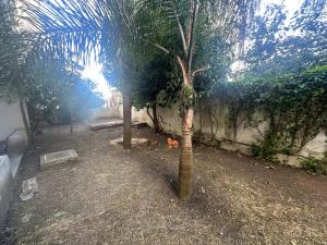 Zineb Seaside Escape Luxury, Perfect Location