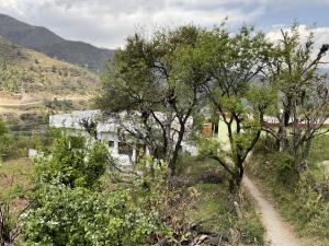 Tehri Tales - Homestay on Char Dham Yatra Route
