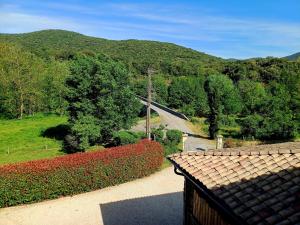 Maisons d'hotes Le Mas du Martinet : Chambre Lit Queen-Size - Vue sur Jardin