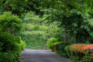 瑞光園-大川 Zuiko Retreat