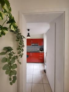 Les couleurs de Schiltigheim