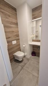 Apartament Czarna Góra Silver