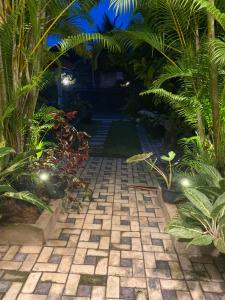 Evergreen garden