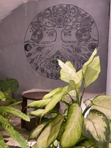 Evergreen garden