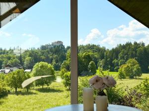 Deerwood-Sky Attic with Bled Castle View-NO KITCHEN 