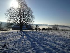 Maisons de vacances Les crins de Nature 2-5p - Haras de la Varende : photos des chambres