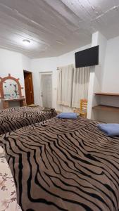 Hotel Posada Teyecac