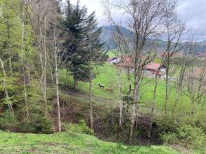FeWo im Ferienpark Oberallgäu mit großem Pool, Bettwäsche, Handtücher, Endreinigung, Kurtaxe inklusive