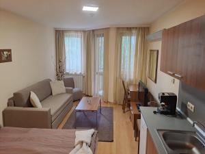 Family Studio 302, Villa park