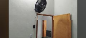 Mini sítio do mamão