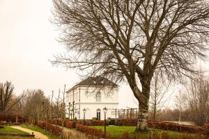 Boutique Hotel De Witte Dame