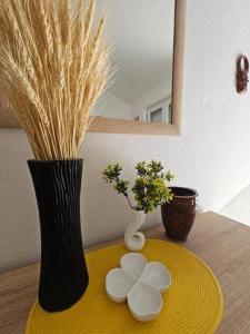 Vila Lučica apartman 2 pogled planina