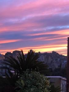 Panoramic & Exclusive Suite