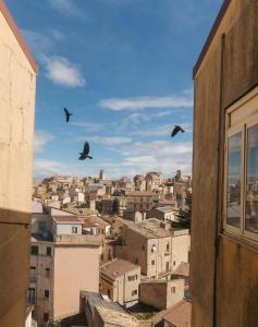 Panoramic & Exclusive Suite