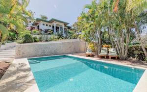 Driftwood ocean view