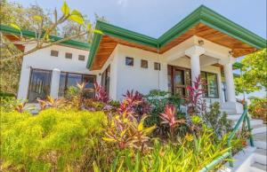 Driftwood ocean view