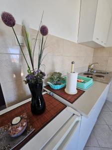 Vila Lučica studio pogled na more