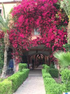 Comfortable house with pool