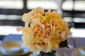 Aurora - luxury mobile house with sundeck