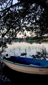 Agroturystyka Żółta Ostoja