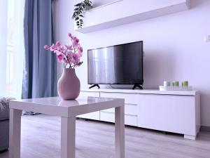 Simple and modern