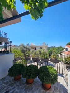 Vila Lučica apartman pogled na more