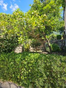 Vila Lučica apartman pogled na more