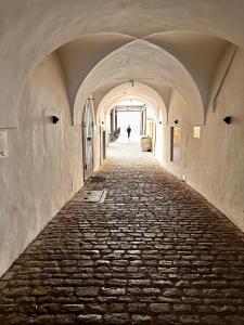VILLAREJA - Panorama Penthouse Suite mit Blick auf die Dolomiten