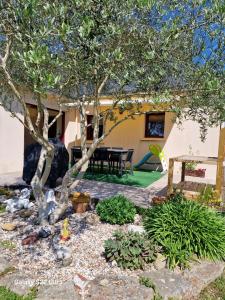 B&B / Chambres d'hotes Les Korrigans : photos des chambres