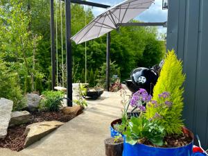 Garden Residence - The Lotus