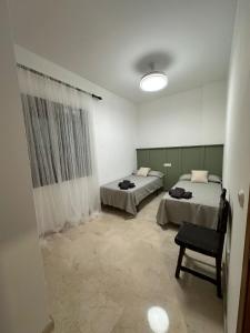 Cozy flat in the city center