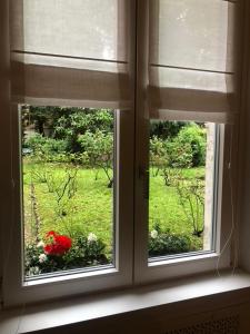 Milano MISSORI Rose garden view