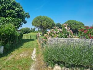 Maisons de vacances Sejour en famille a Avail : photos des chambres