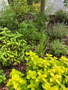Studio GîTE COSY sur Jardin
