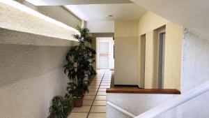 Exclusive and beautiful apartment in Costa Azul