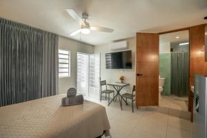 Quaint! Ample 4 BR 4Bathroom, Pool, Wifi, one block from Park Alemán