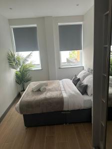 Family Flat ,Finchley Modern