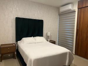 Lovely apartment! Albatros garden